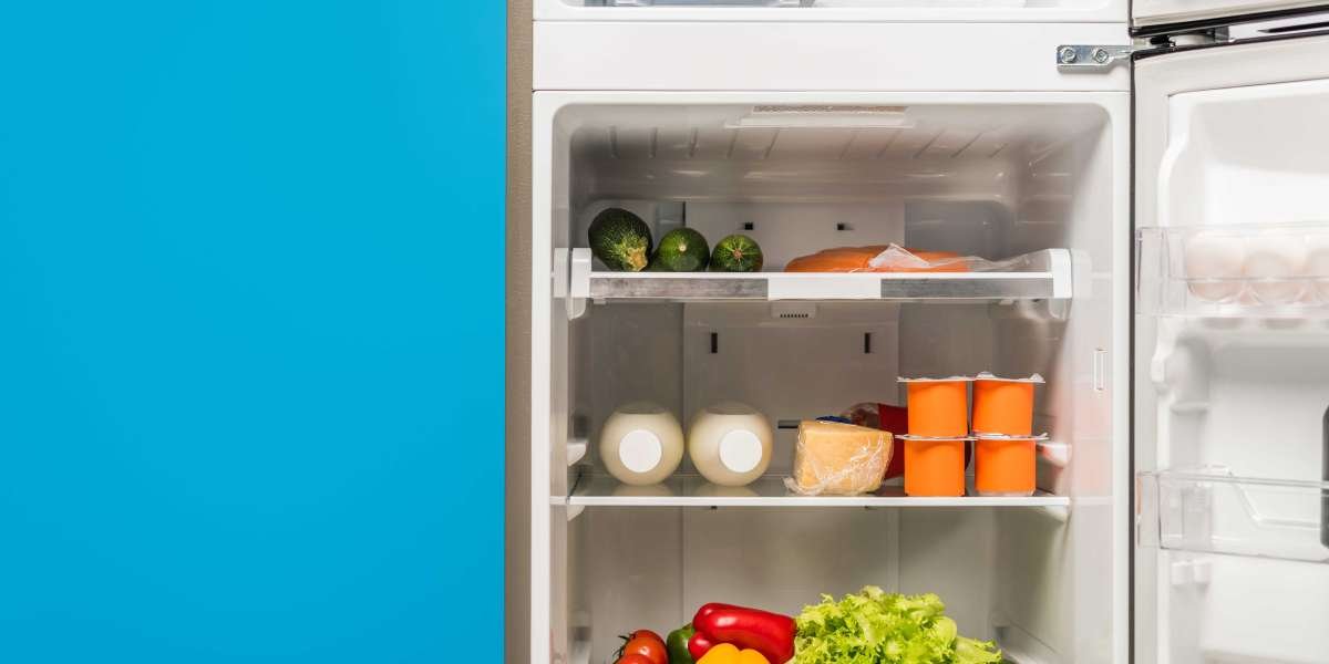 The Refrigerator and Freezer: Essential Appliances in Modern Kitchens